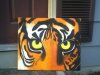 eyes of the tiger.jpg