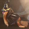 Larkspur2.png