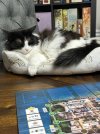 IMG_4358.jpeg
