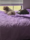 IMG_4396.jpeg