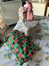 IMG_4636.jpeg
