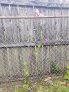 20250418_095723.jpg