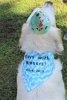 IMG_9881.jpg IMG_9881.jpg
