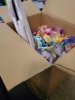 20200715_141041_compress66.jpg