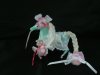 DSC04828.JPG