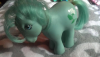 poppy.png