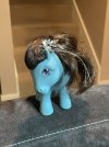 2022-10-07 0557am Pony wig ready (IMG_2512).JPG
