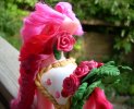Carousel Pony 10.JPG Carousel Pony 10.JPG