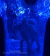 IMG_6253.jpeg