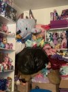 IMG_9054.jpeg