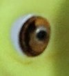 Baby Frosting (eye close-up).jpg