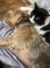 IMG_8939.jpeg
