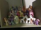 IMG_0254.jpeg