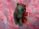 IMG_2498.jpeg