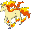 Rapidash.png