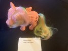 Rainbow Flutterbye.jpg