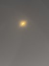 IMG_4632.jpeg