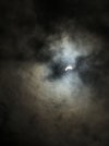 IMG_4639.jpeg