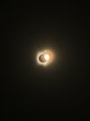 IMG_4650.jpeg