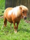 IMG_0580.jpeg