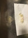 8F1135C9-E539-4D67-BE55-6A5DFFBCA9B6.jpeg