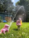 IMG_4208.jpeg