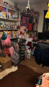 IMG_9049.jpeg