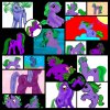 IMG_3230.jpeg