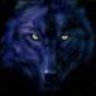 wolfiechick