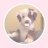puppyprincess