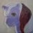 absol
