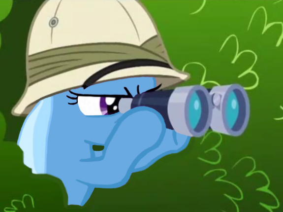 binocular pony.png