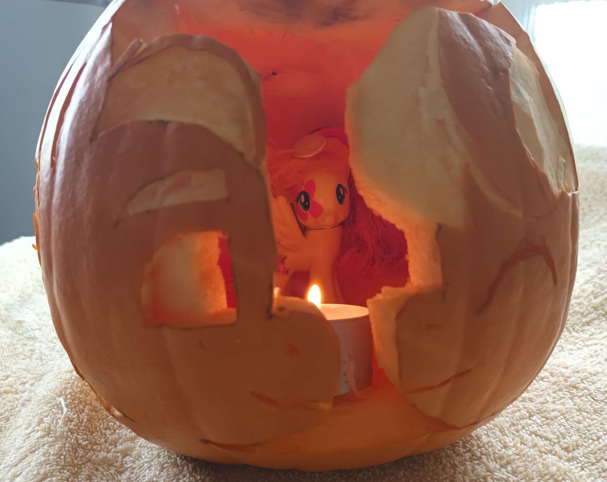 fluttershy trapped in the sproutkey pumpkin.jpg