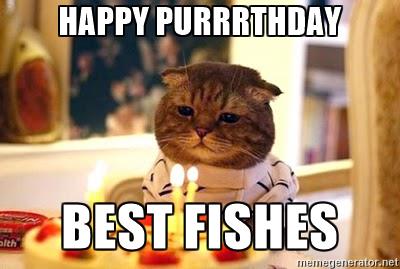 Happy-Birthday-Cat-Meme.jpg