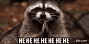 he-he-raccoon.gif
